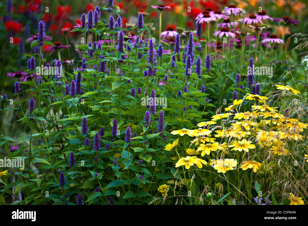 Cottage Garden Planting at RHS Hyde Hall Stock Photo