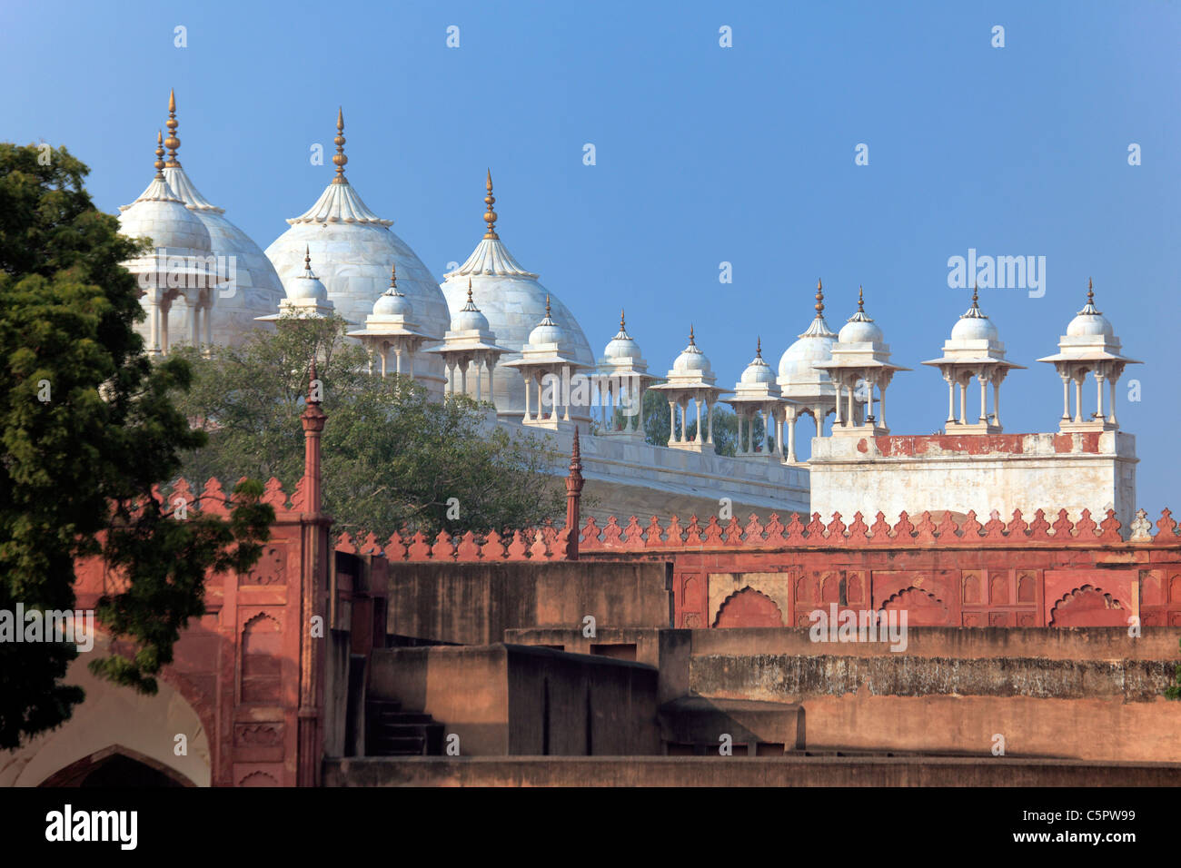 moti-masjid-pearl-mosque-red-fort-agra-india-C5PW99.jpg