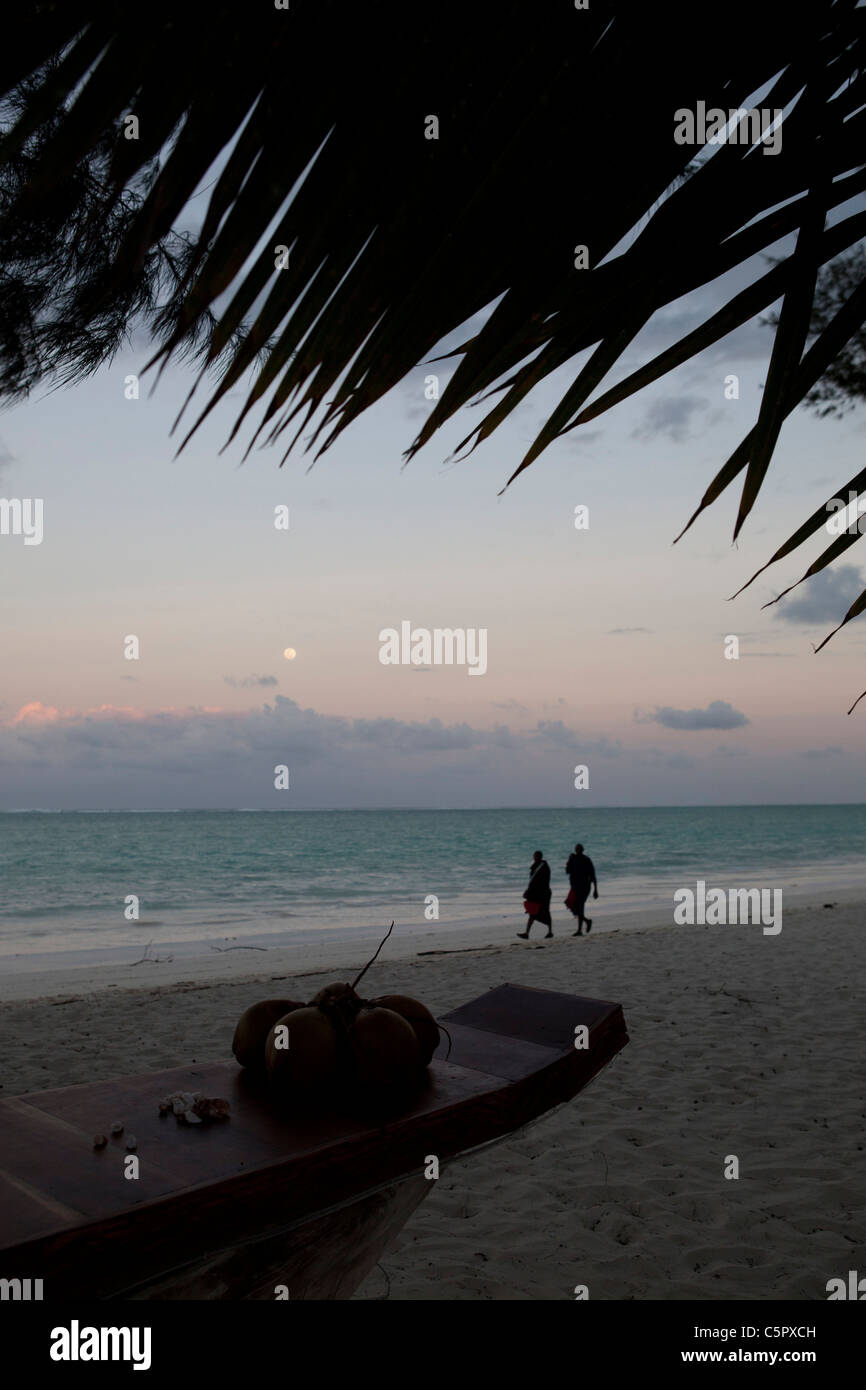 Coconuts in foreground of a beach scene at sundown, where two local men are silhouetted walking on the beach. Stock Photo