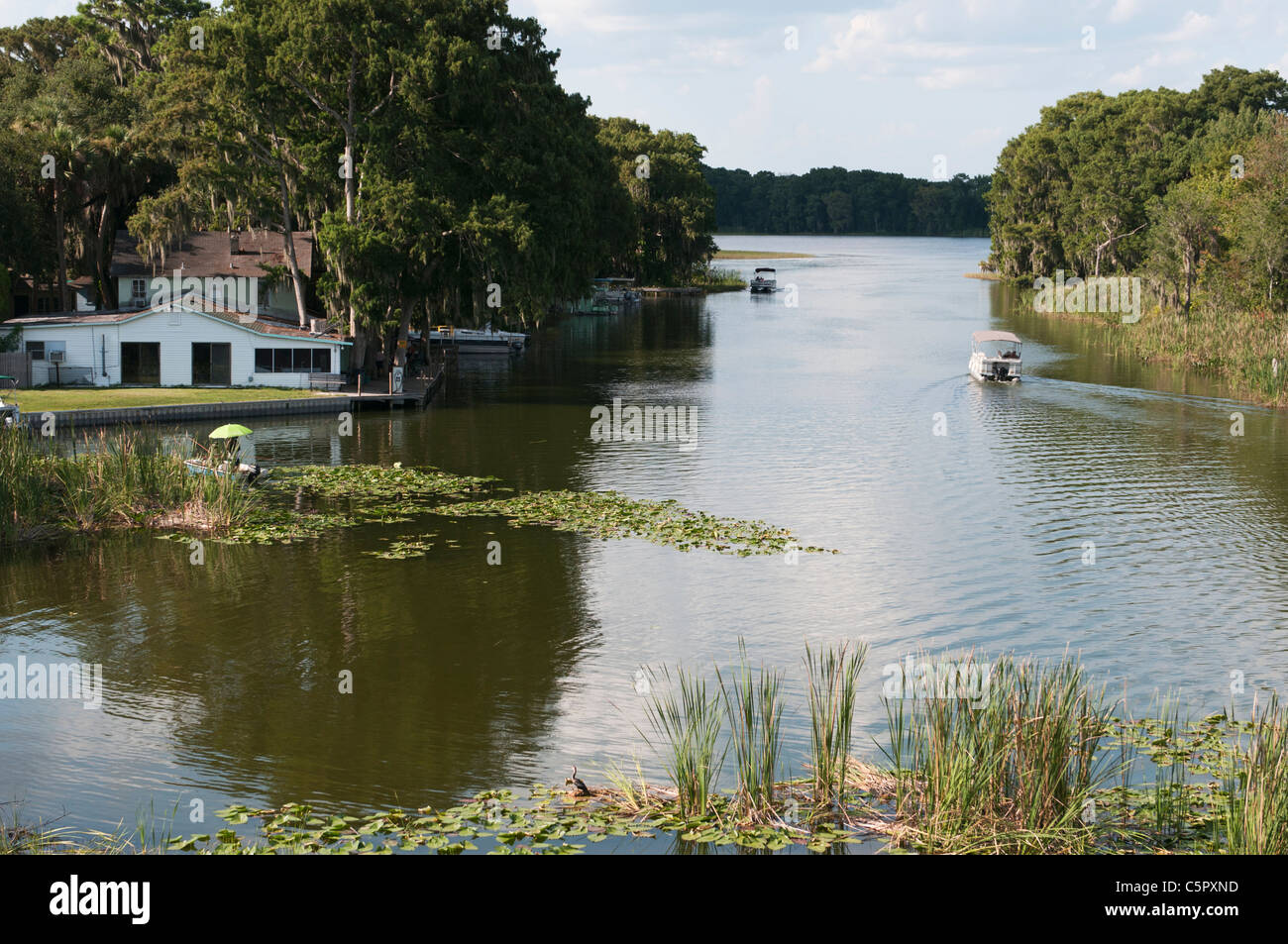 Boating the Dead River Canal in Lake County Leesburg, Florida USA Stock Photo