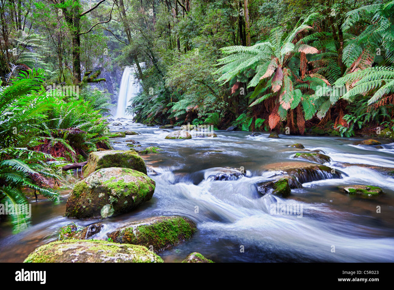 Hopetoun Falls in Otway Ranges National Park, Victoria Australia Stock Photo