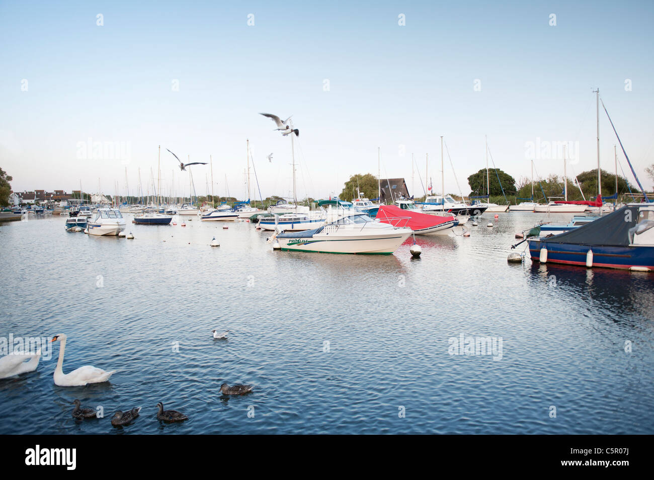 A speedboat leisure cruiser boat moored in Christchurch Harbour, Dorset, England, UK. Stock Photo