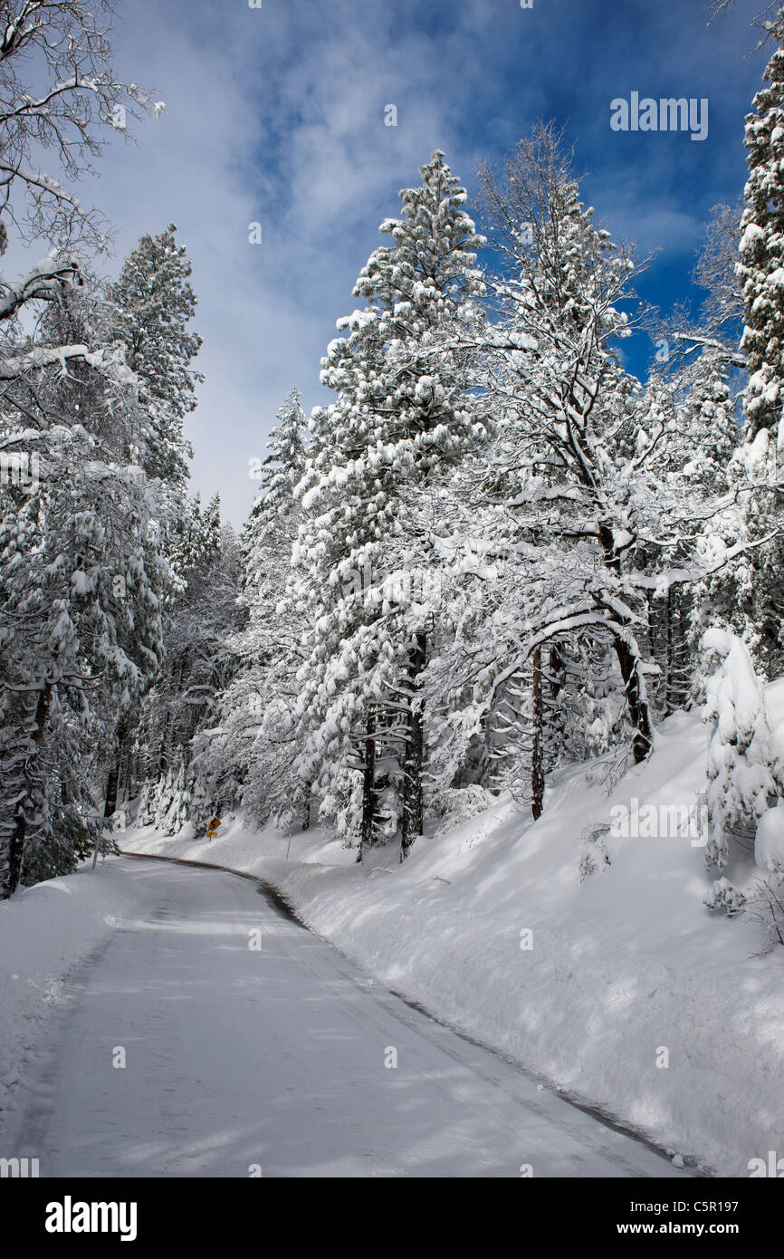 Snow covers a highway near Yosemite National Park, California, United States of America Stock Photo