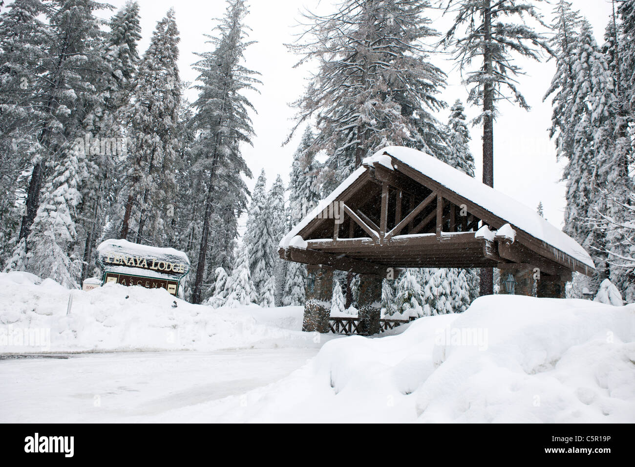 A large snow storm covers the entrance to Tenaya Lodge, outside