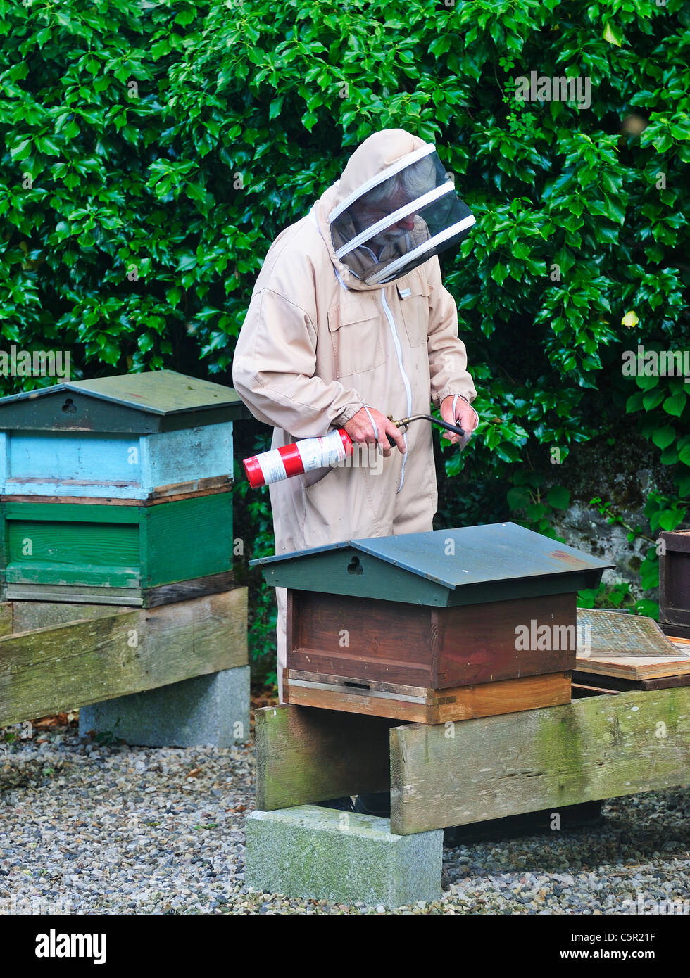 Beekeeper man working beehives hi-res stock photography and images - Alamy