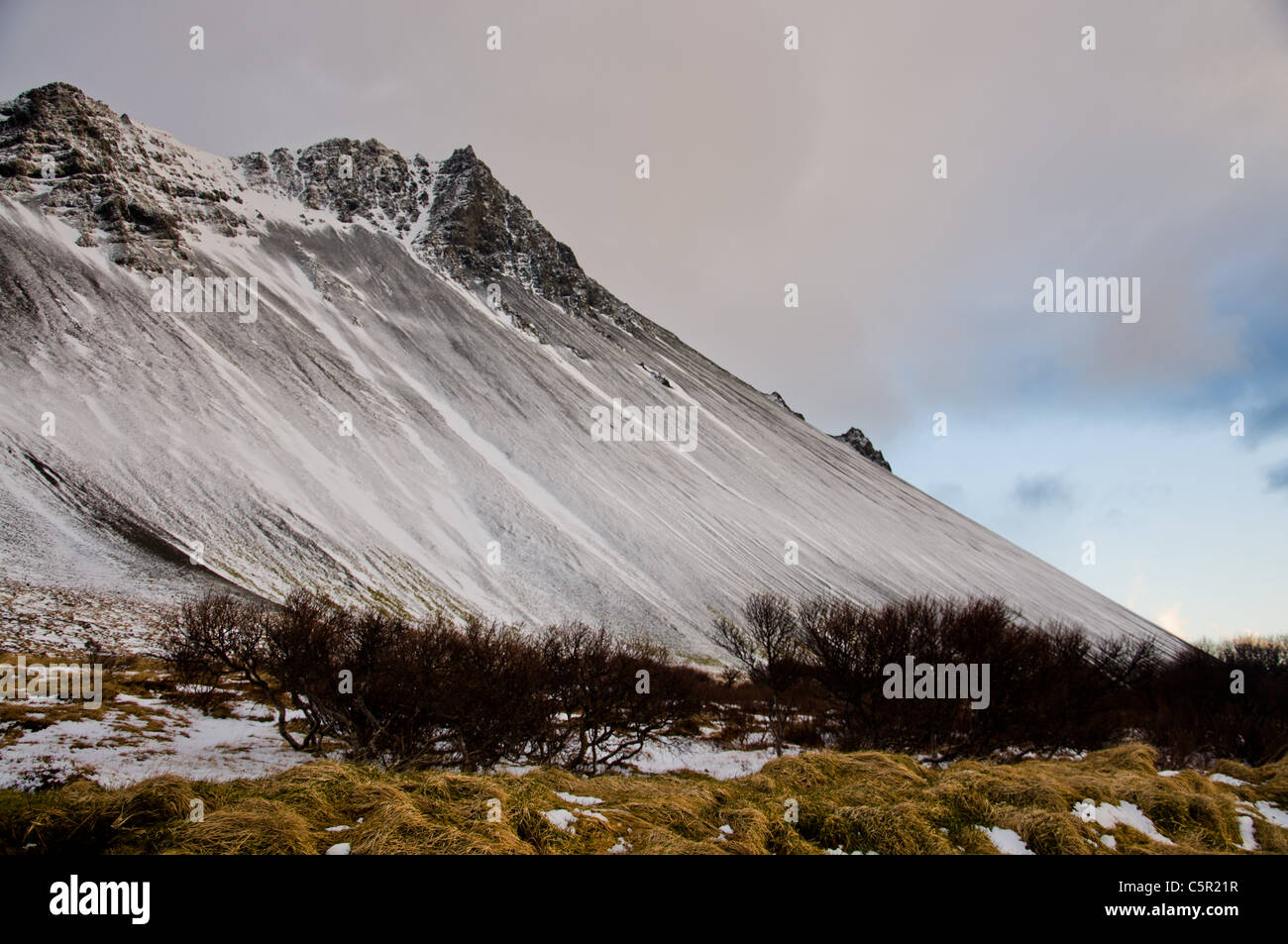 Mountain and bushes in Iceland Stock Photo