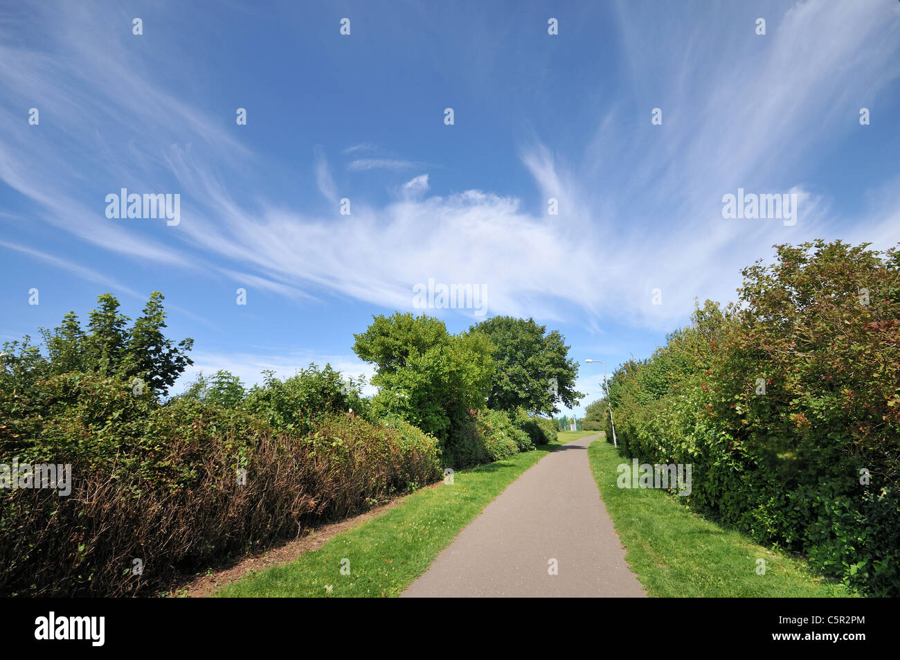 Park sunny blue sky hi-res stock photography and images - Alamy