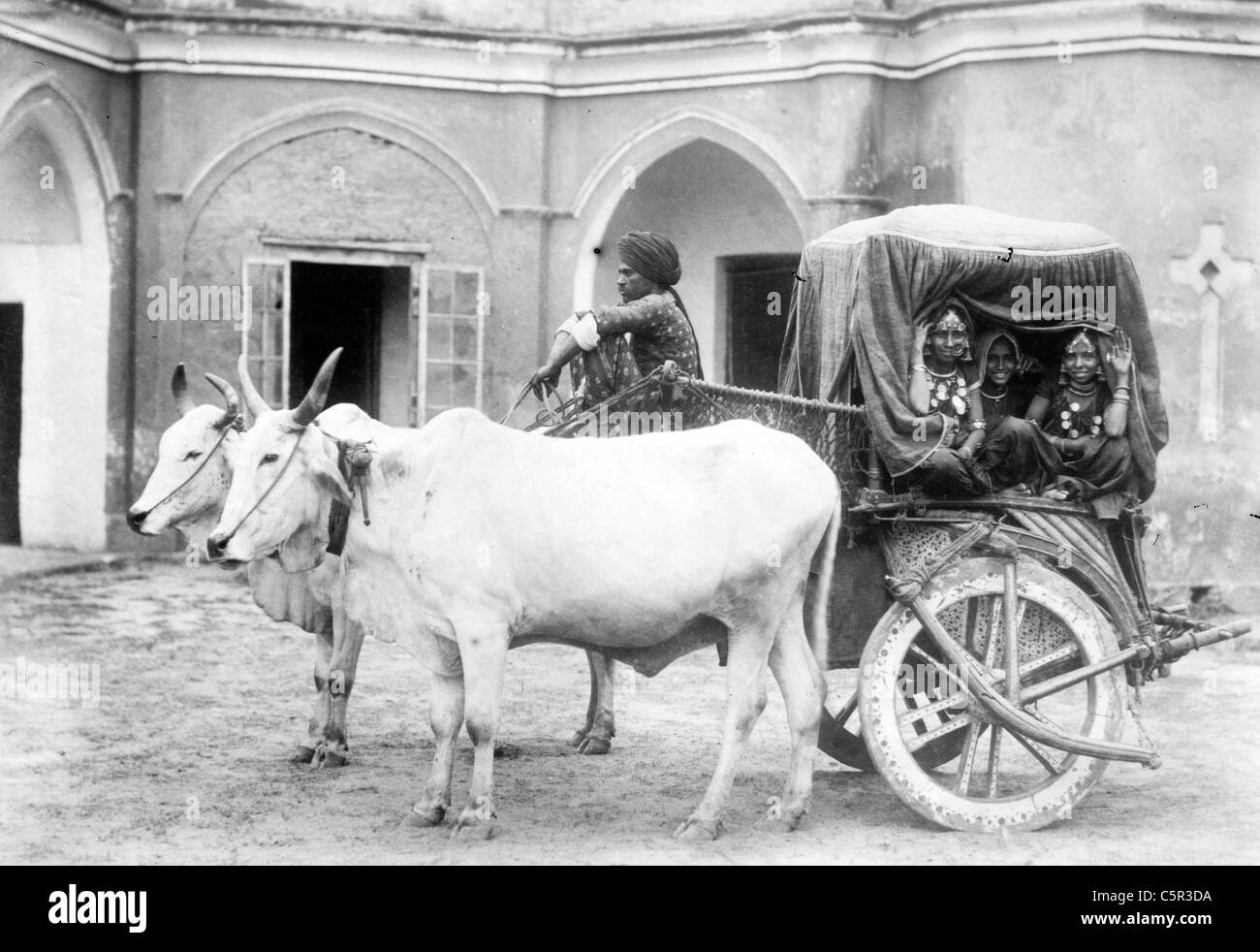 Sacred bullocks before cart of Nautch girls, India Stock Photo