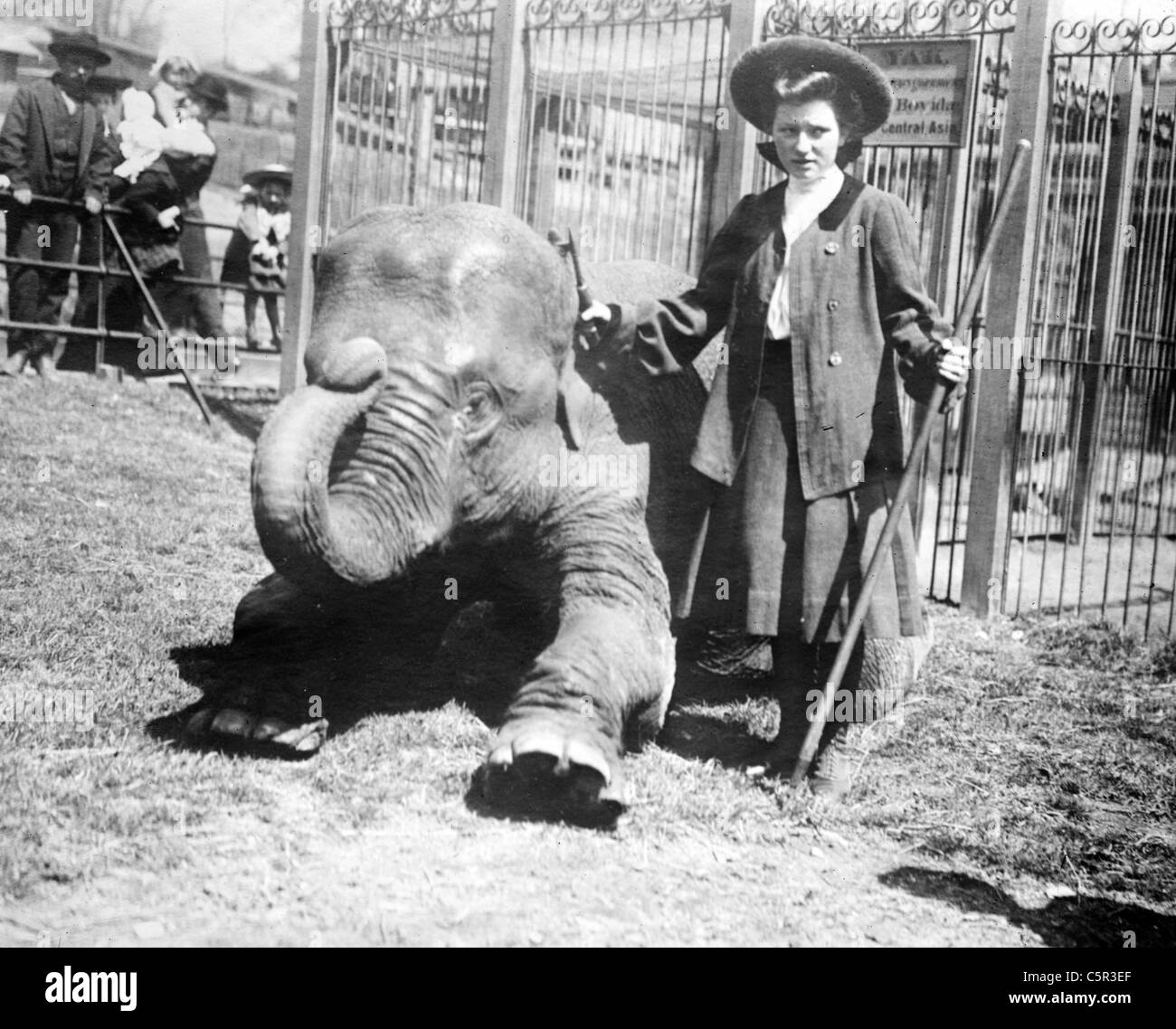 Hattie the elephant and Hattie Snyder, trainer, circa early 1900's Stock Photo