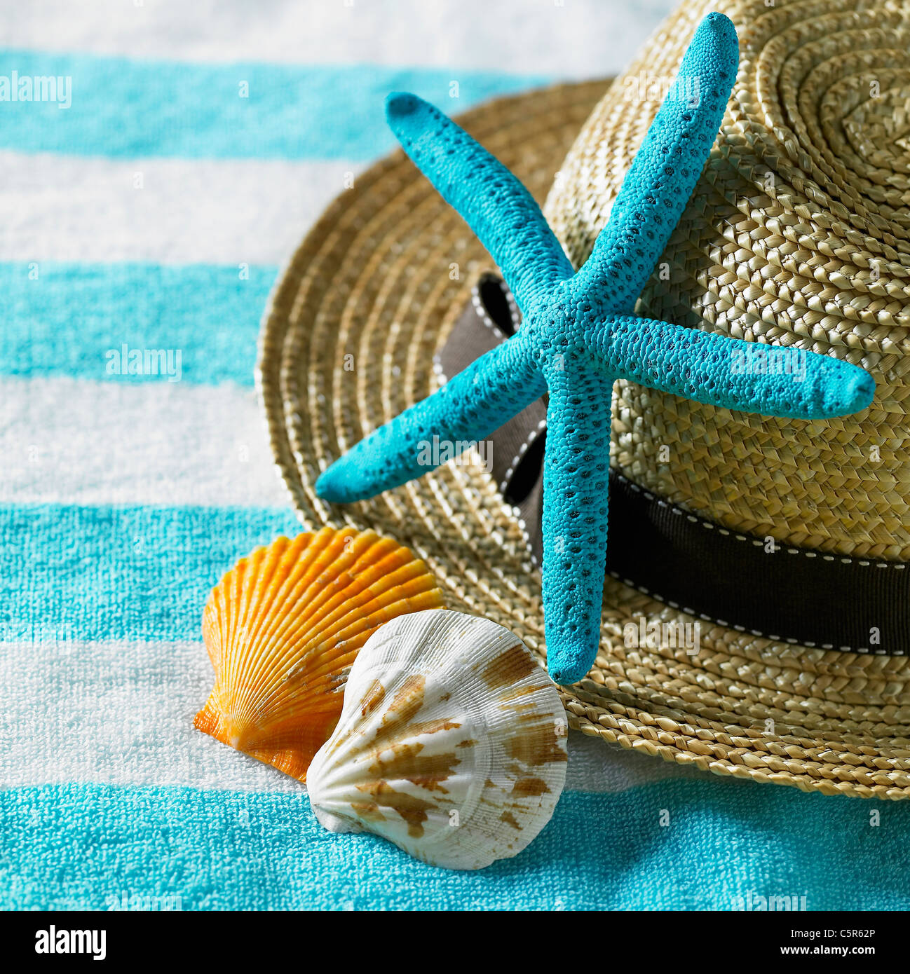 Star Fish Shell Hat Benny Hat High Resolution Stock Photography and Images - Alamy