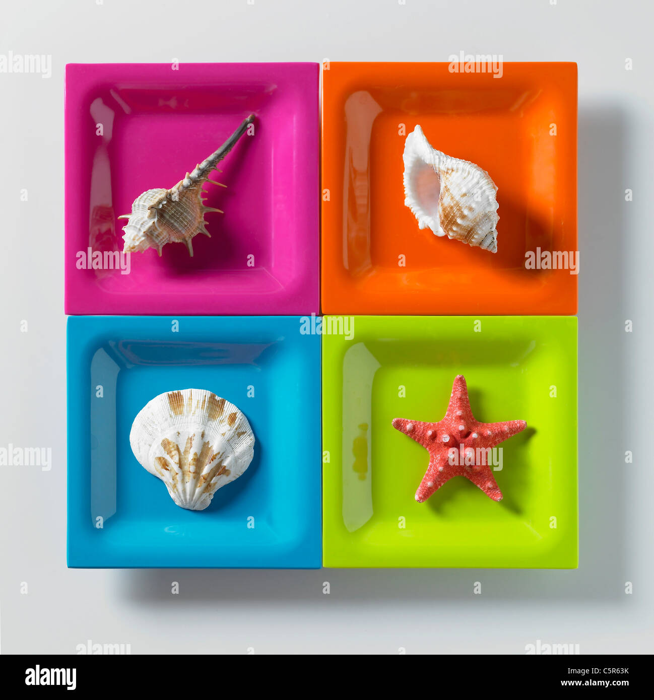 Various sea animals hires stock photography and images Alamy