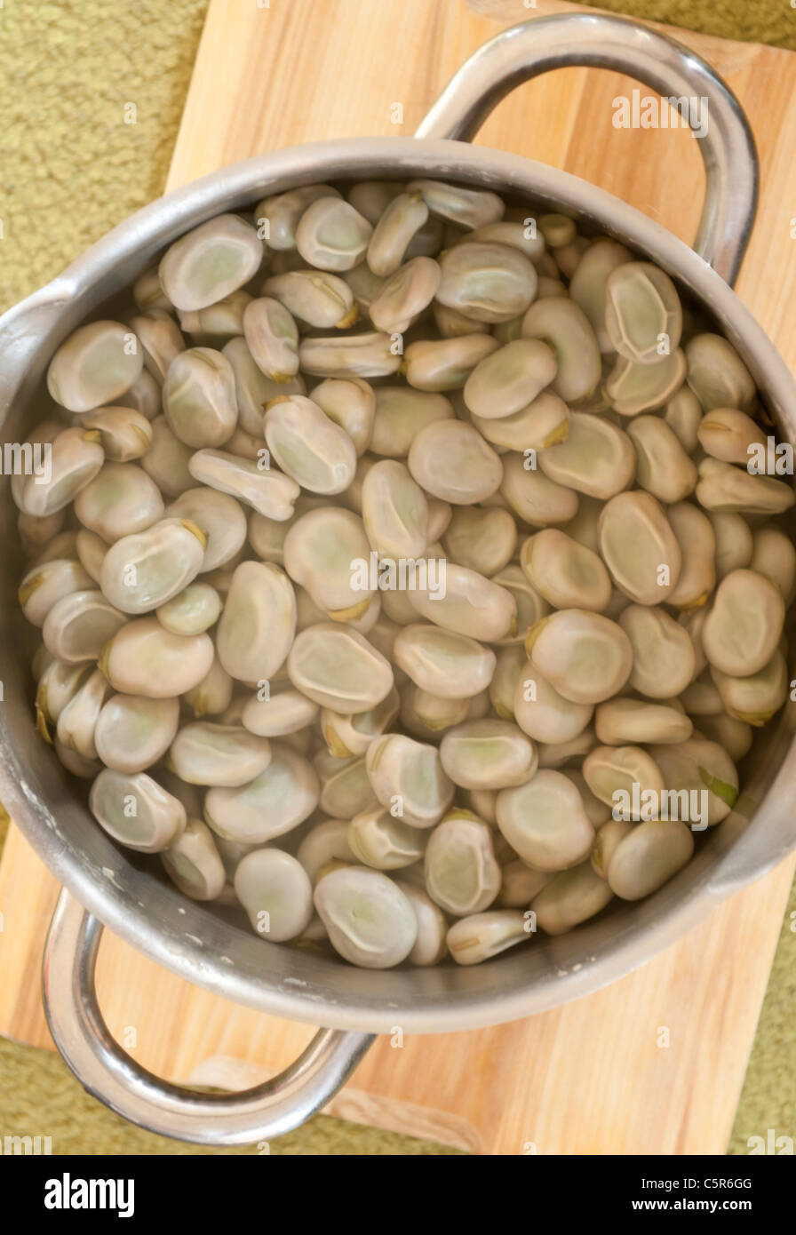 Tradition green boiled broad bean Stock Photo