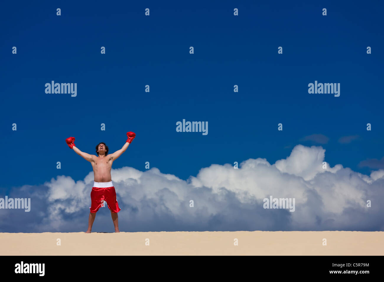 A Boxer celebrates being on top of the World. Stock Photo