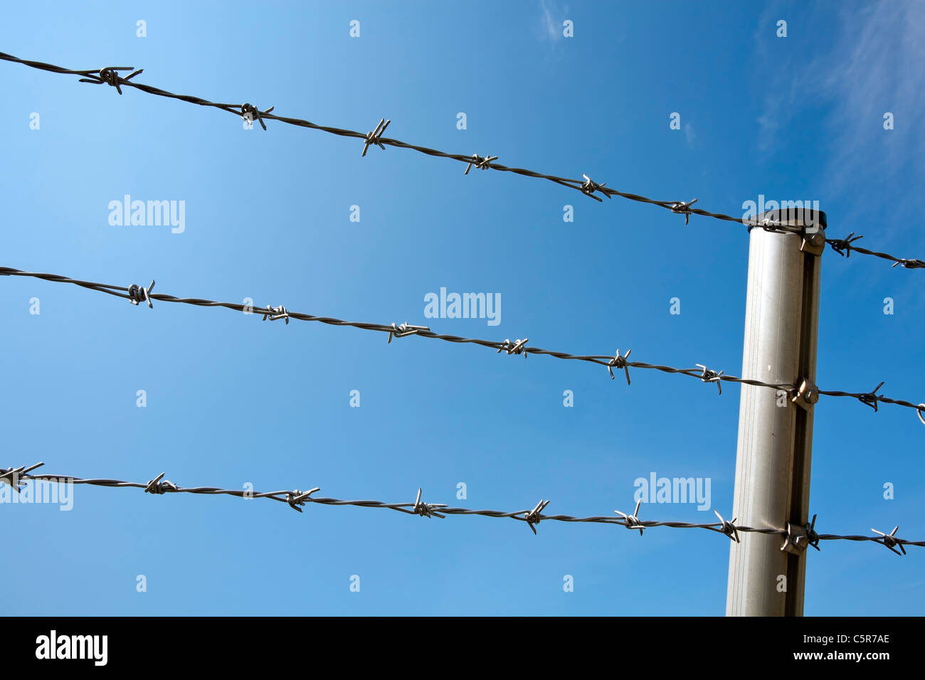 barbed wire lines Stock Photo