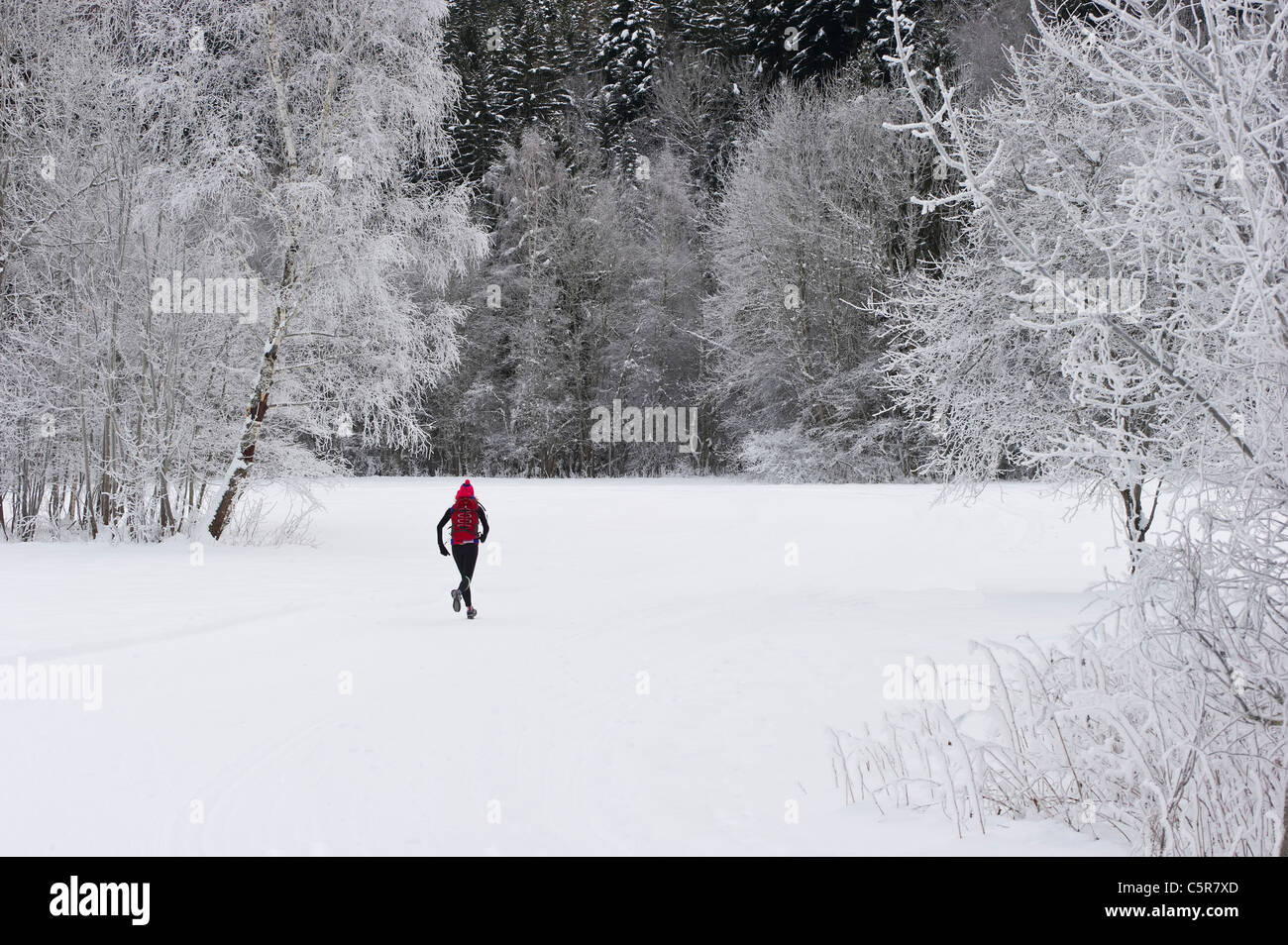 A jogger running through a snowy winter landscape. Stock Photo