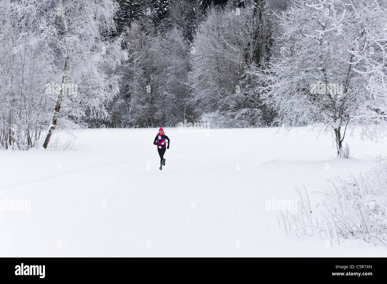 A jogger running through a snowy landscape. Stock Photo