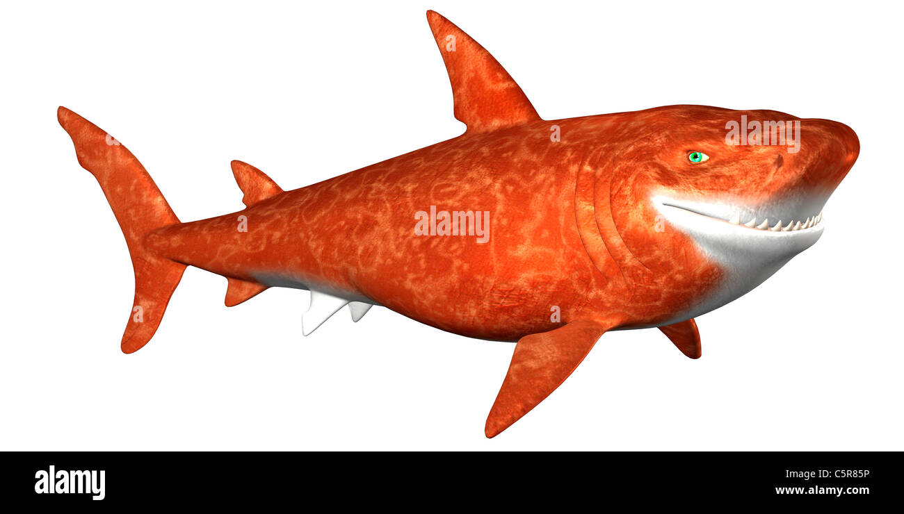 Illustration of a fantasy Shark isolated on a white background