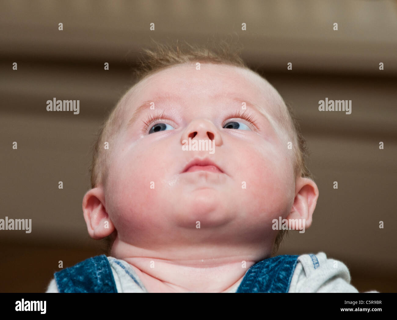 Four months old baby looking upwards Stock Photo Alamy