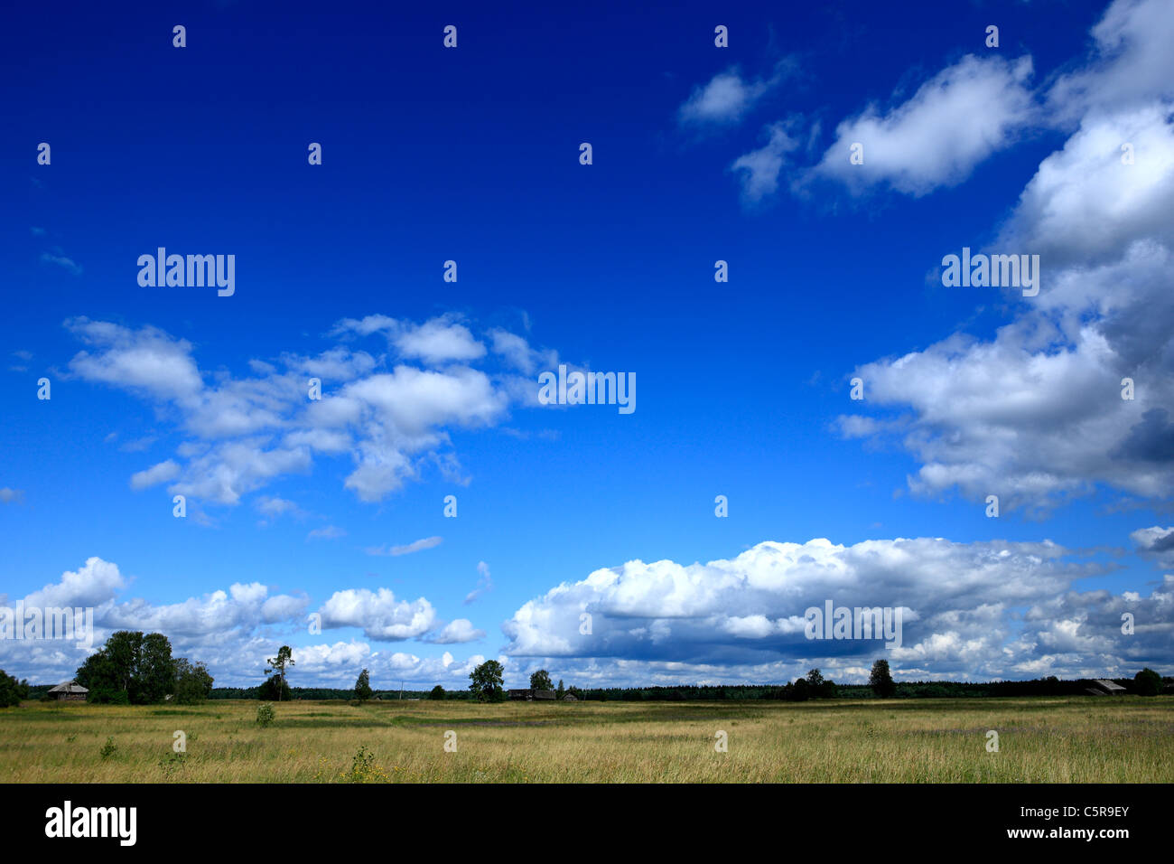 Kuchepalda, Archangelsk (Arkhangelsk) region, Russia Stock Photo