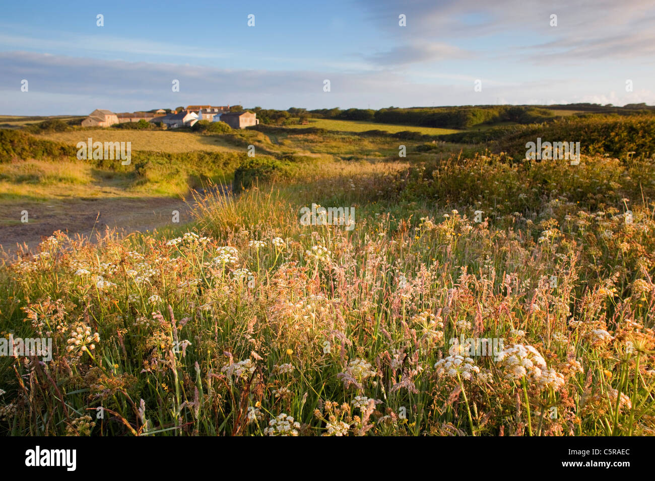 Predannack Wollas; west coast Lizard; Cornwall; UK Stock Photo