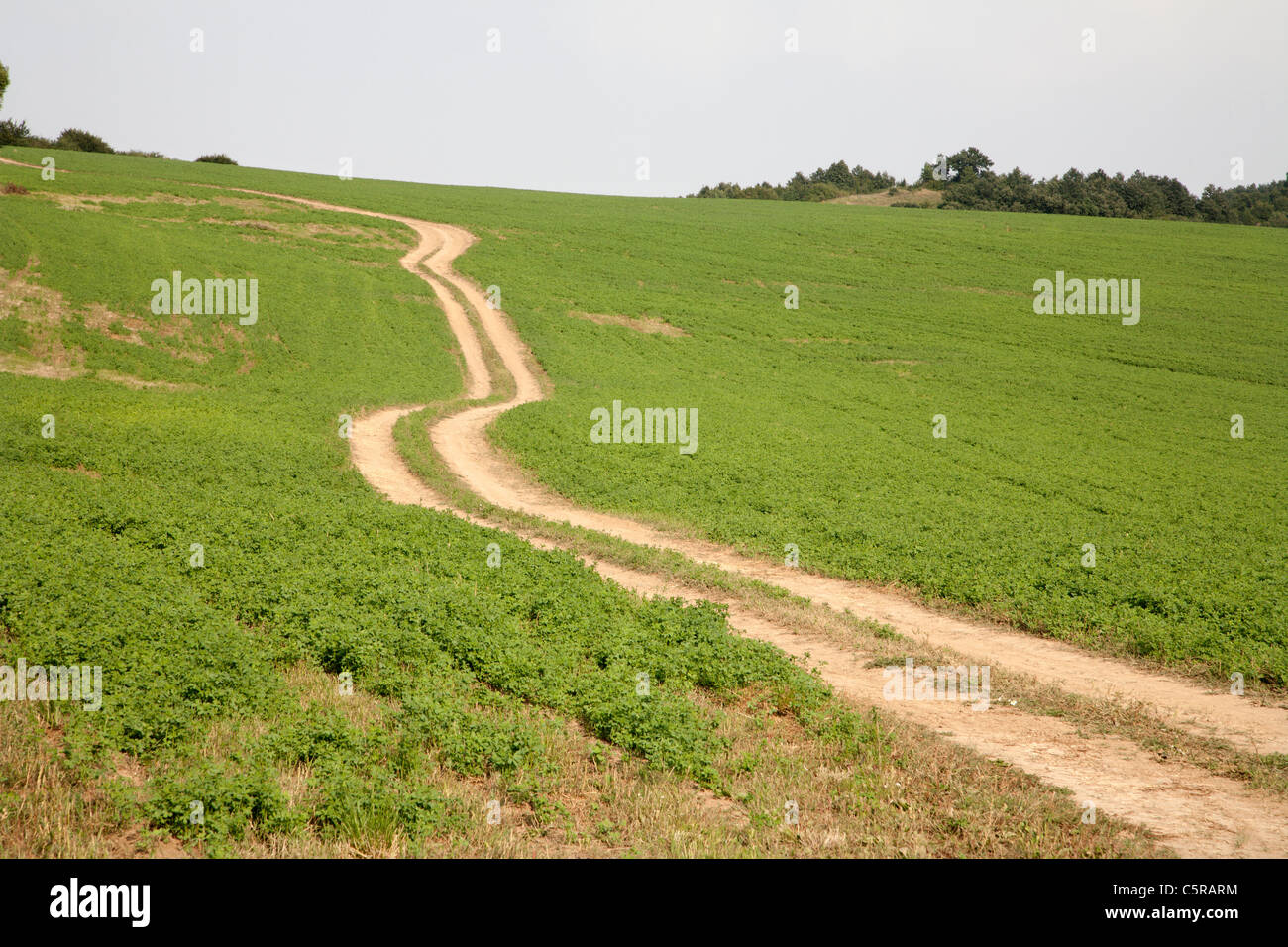 way on the field Stock Photo