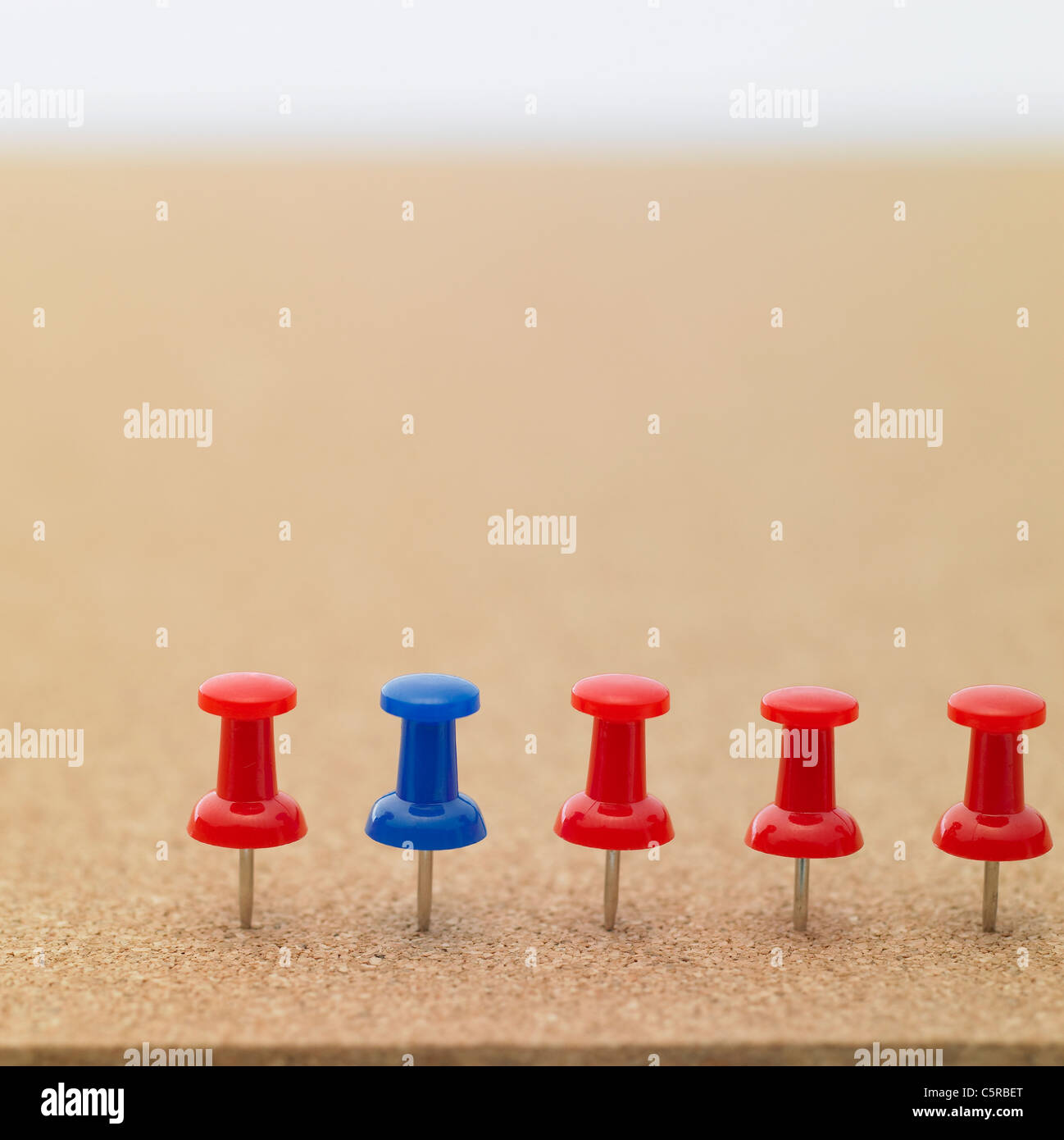 Pins on a board Stock Photo Alamy