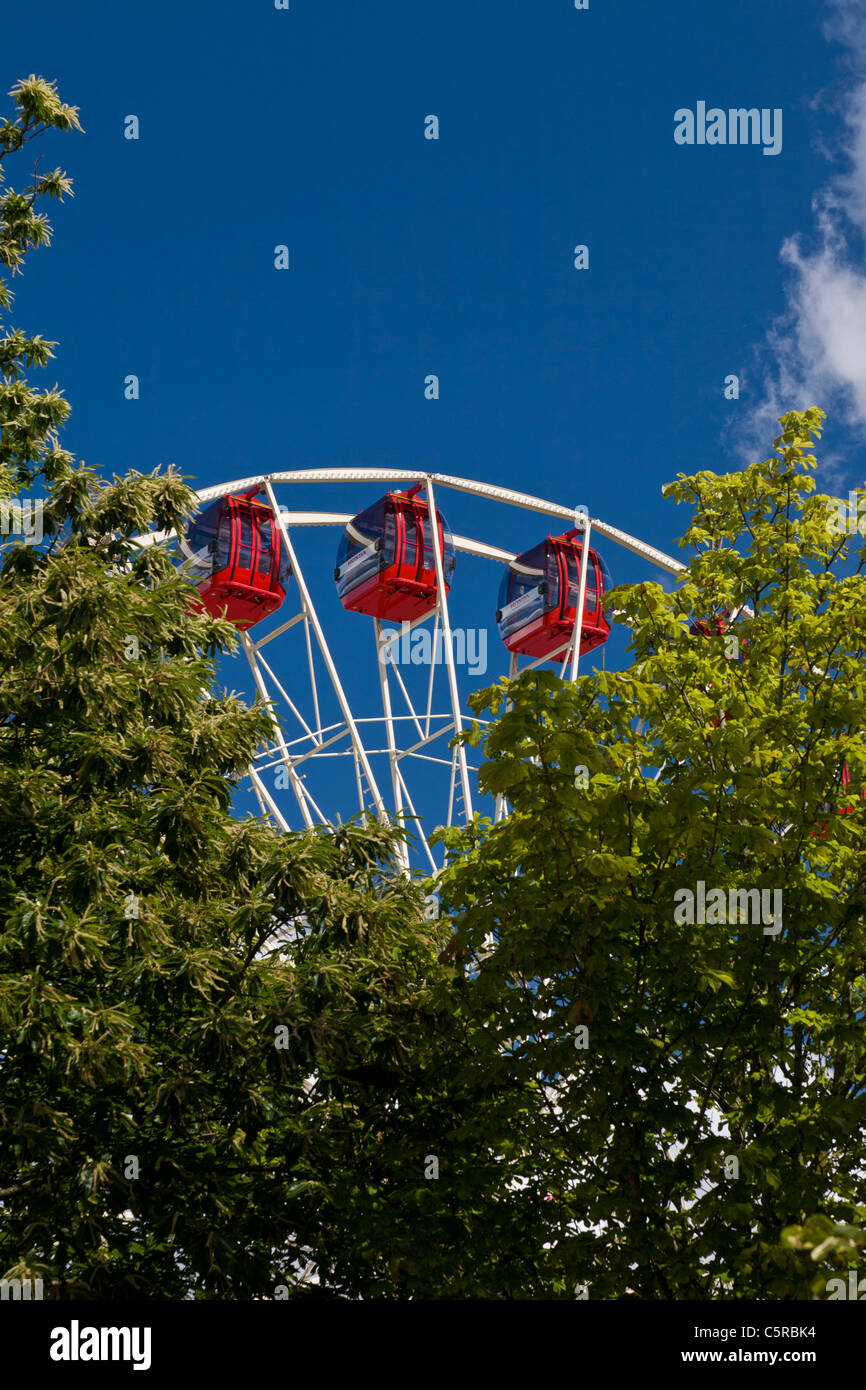 Honda ferris wheel tree trees goodwood hi-res stock photography and ...