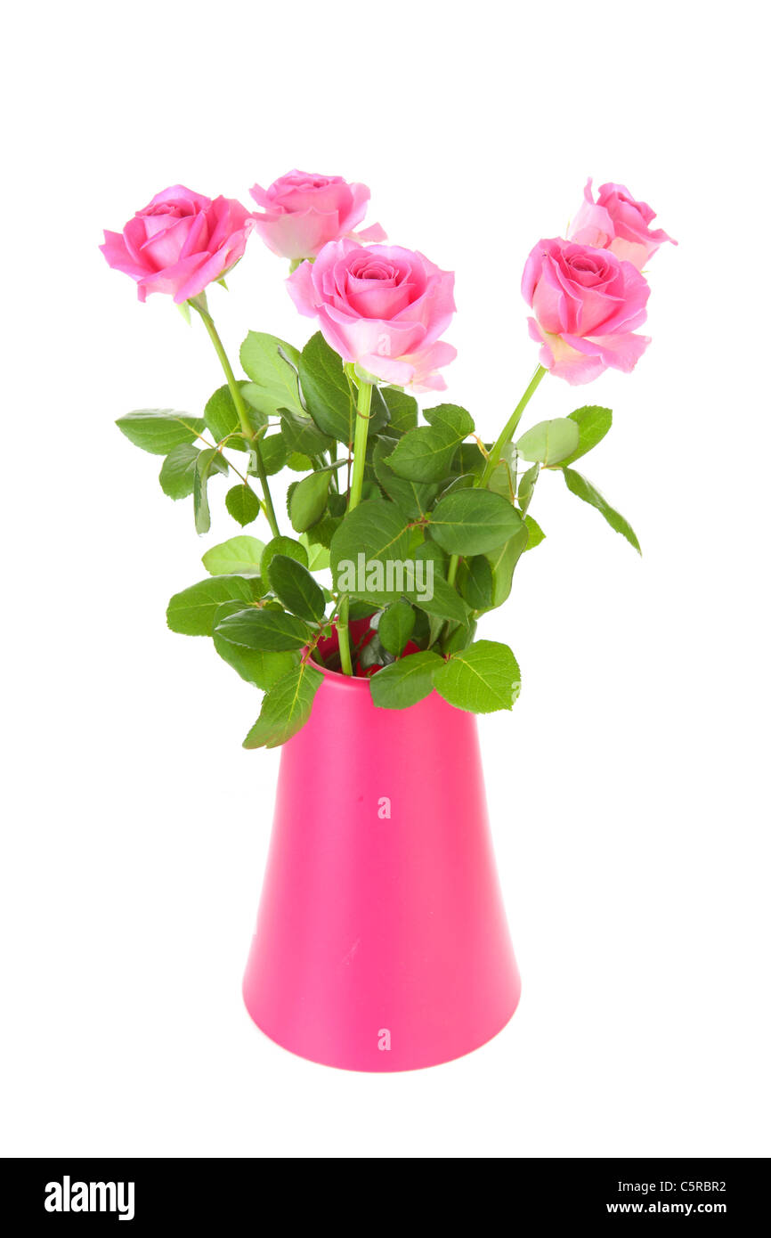 Bouquet of pink roses in vase over white background Stock Photo - Alamy