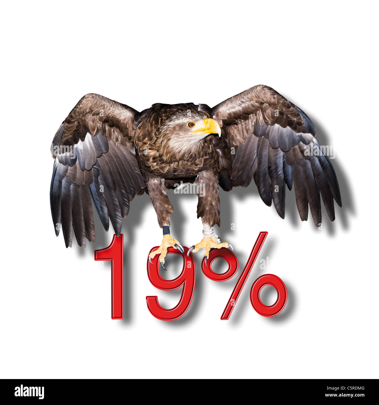 Federeal Eagle sitting on red 19 percent sign, symbol Stock Photo