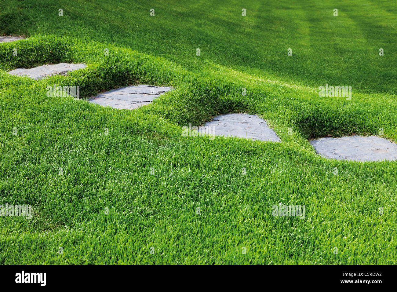Germany, View of neatly manicured lawn with stepping stones Stock Photo