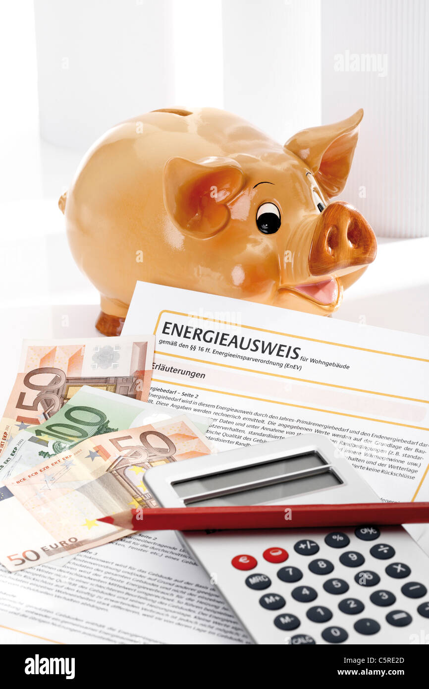 Piggy bank, energy pass, pocket calculator and euro notes, close-up Stock Photo