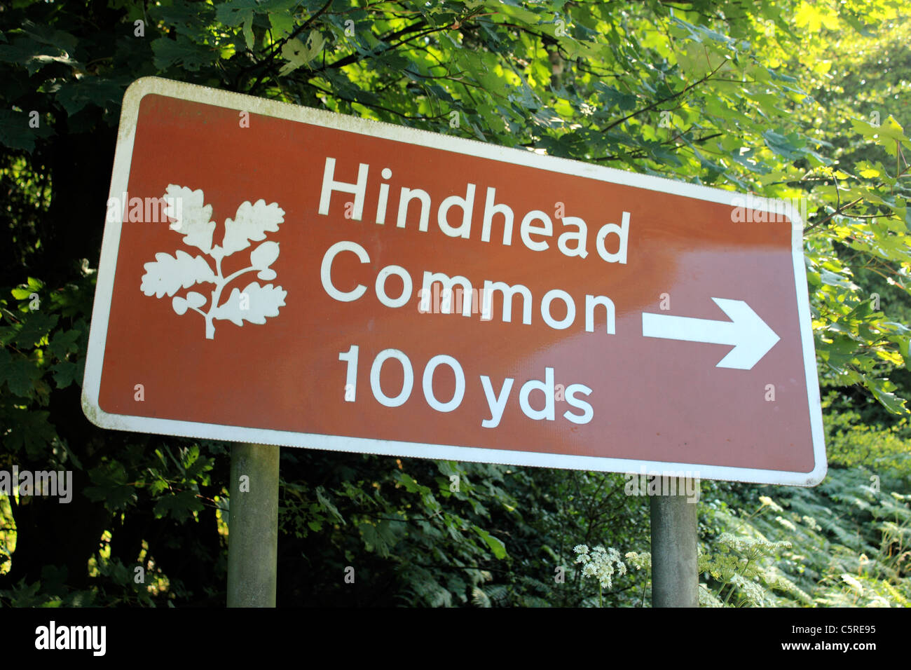 National Trust sign post Hindhead Common Surrey England UK Stock Photo