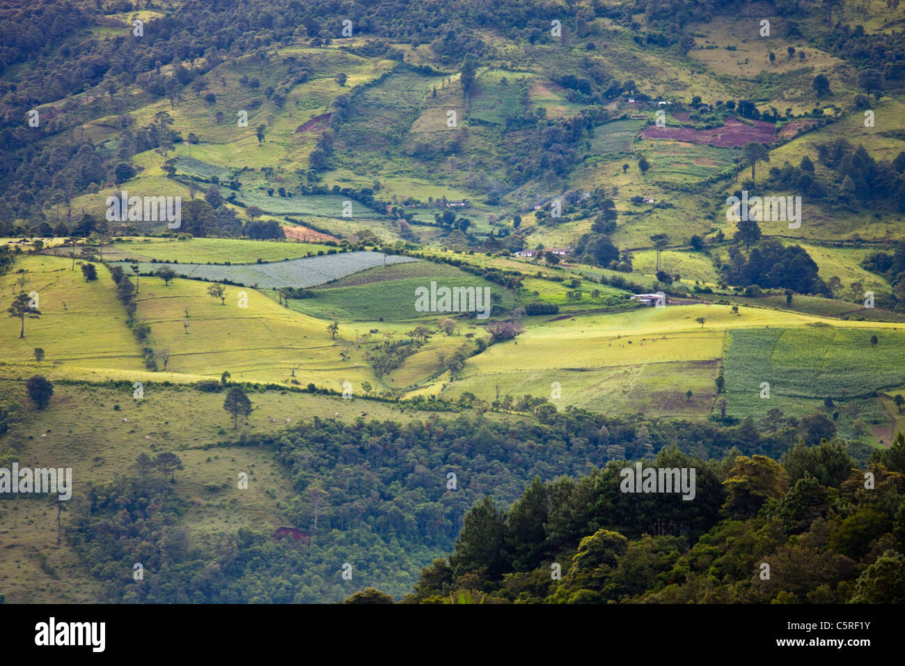 Fields and hillside, Honduras Stock Photo