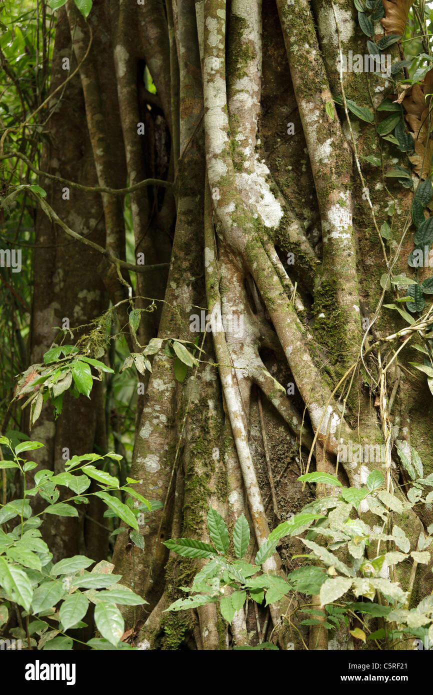 Kaeng krachan hi-res stock photography and images - Alamy