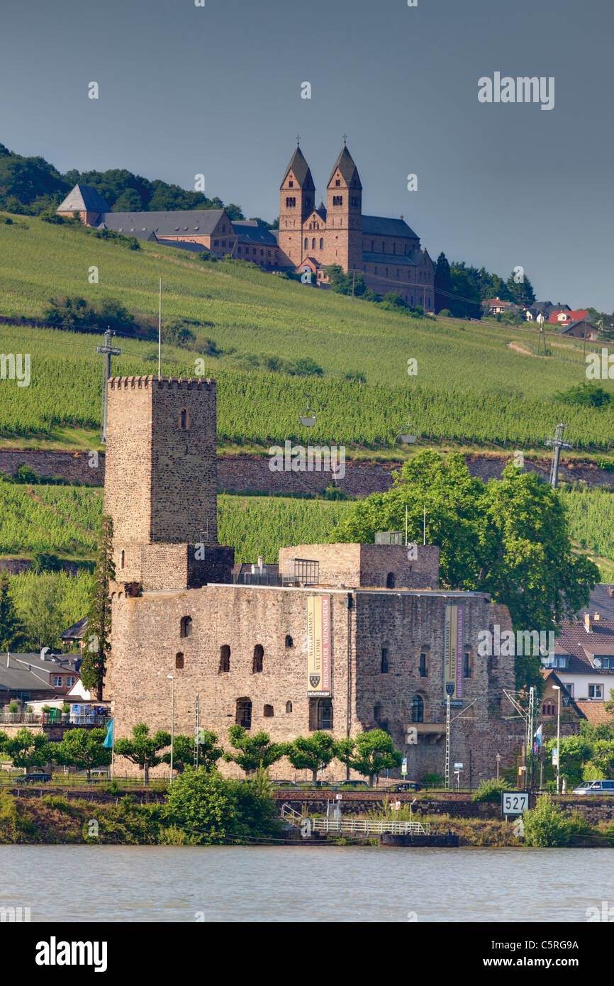 Europe, Germany, Hesse, Ruedesheim, View of st.hildegard abbey and castle Stock Photo