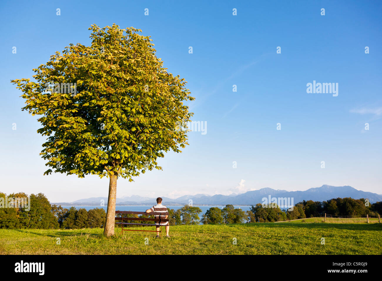 Germany, Bavaria, Chiemgau Alps, Chiemsee, Men sitting on bench under deciduous tree Stock Photo