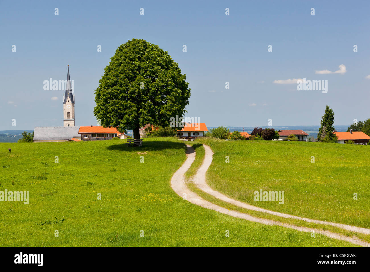 Germany, Bavaria, Irschenberg, View of Tilia tree and dirt track with village in background Stock Photo