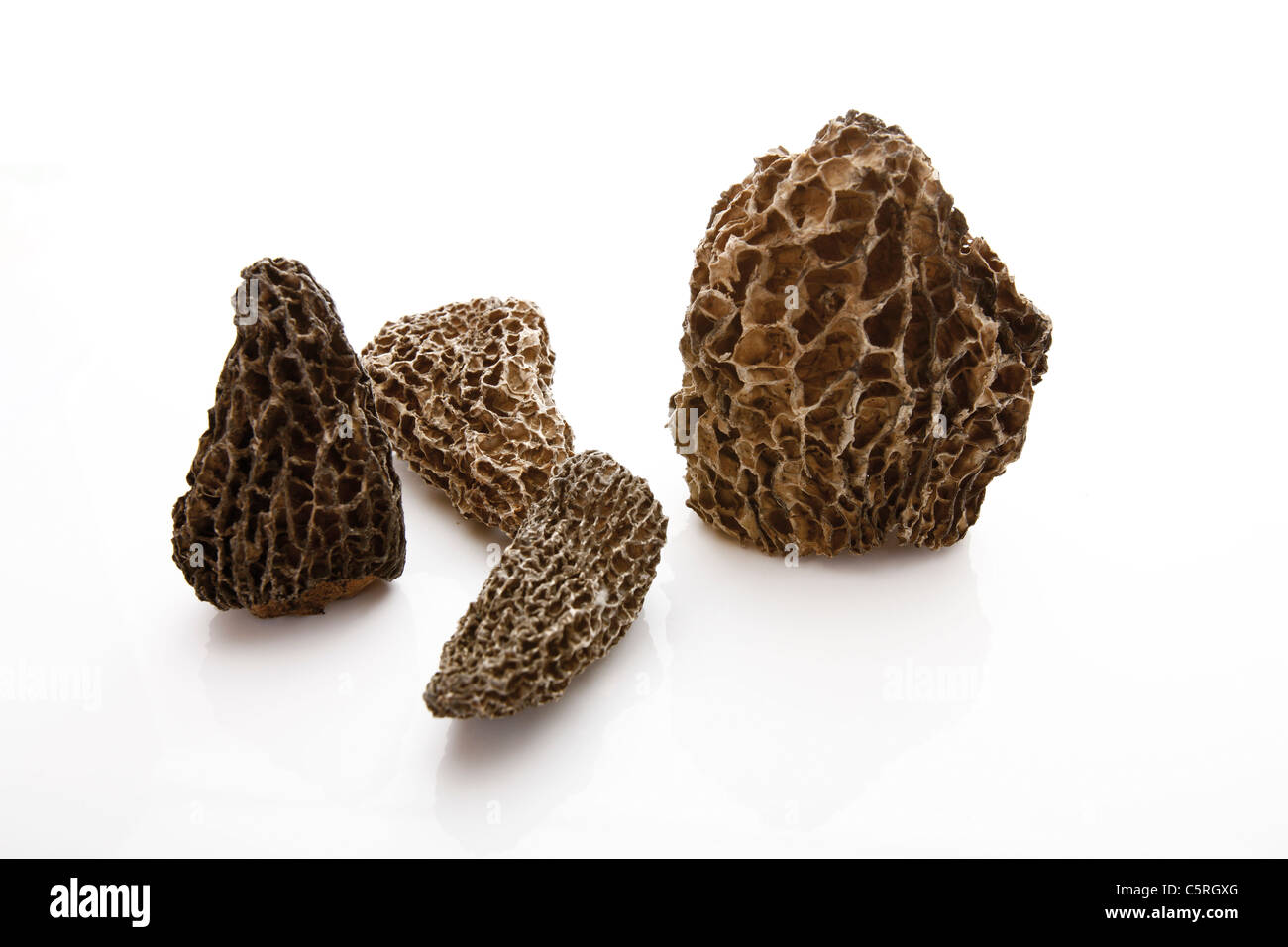 Black Morels (Morchella Stock Photo Alamy