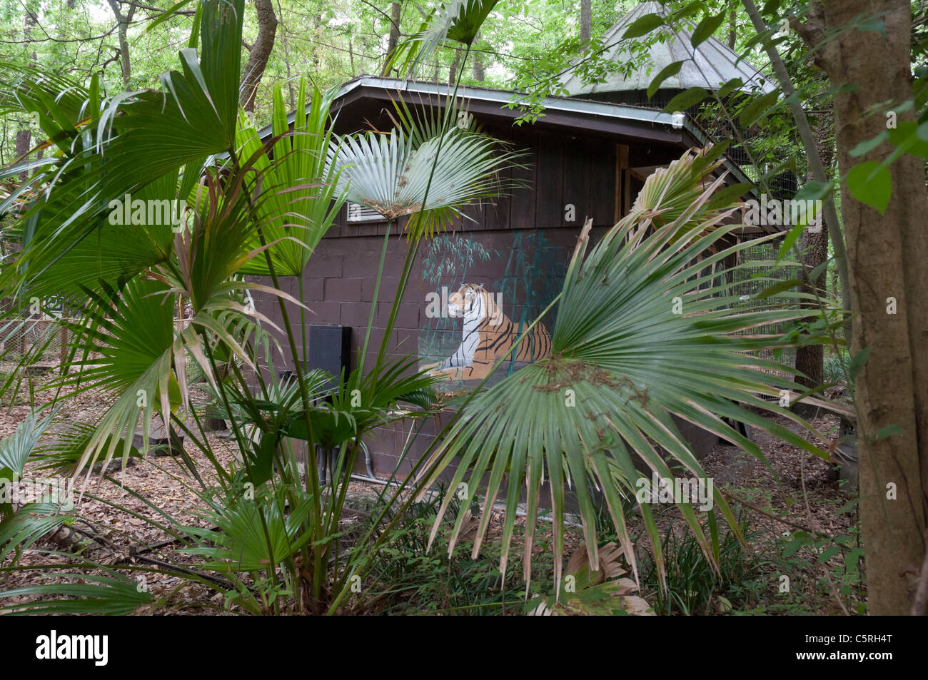 Santa Fe College Teaching Zoo Gainesville Florida Stock Photo Alamy
