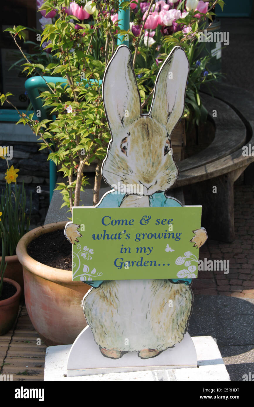 Peter Rabbit at Beatrix Potter World, Windermere, The Lake District, Cumbria, UK Stock Photo