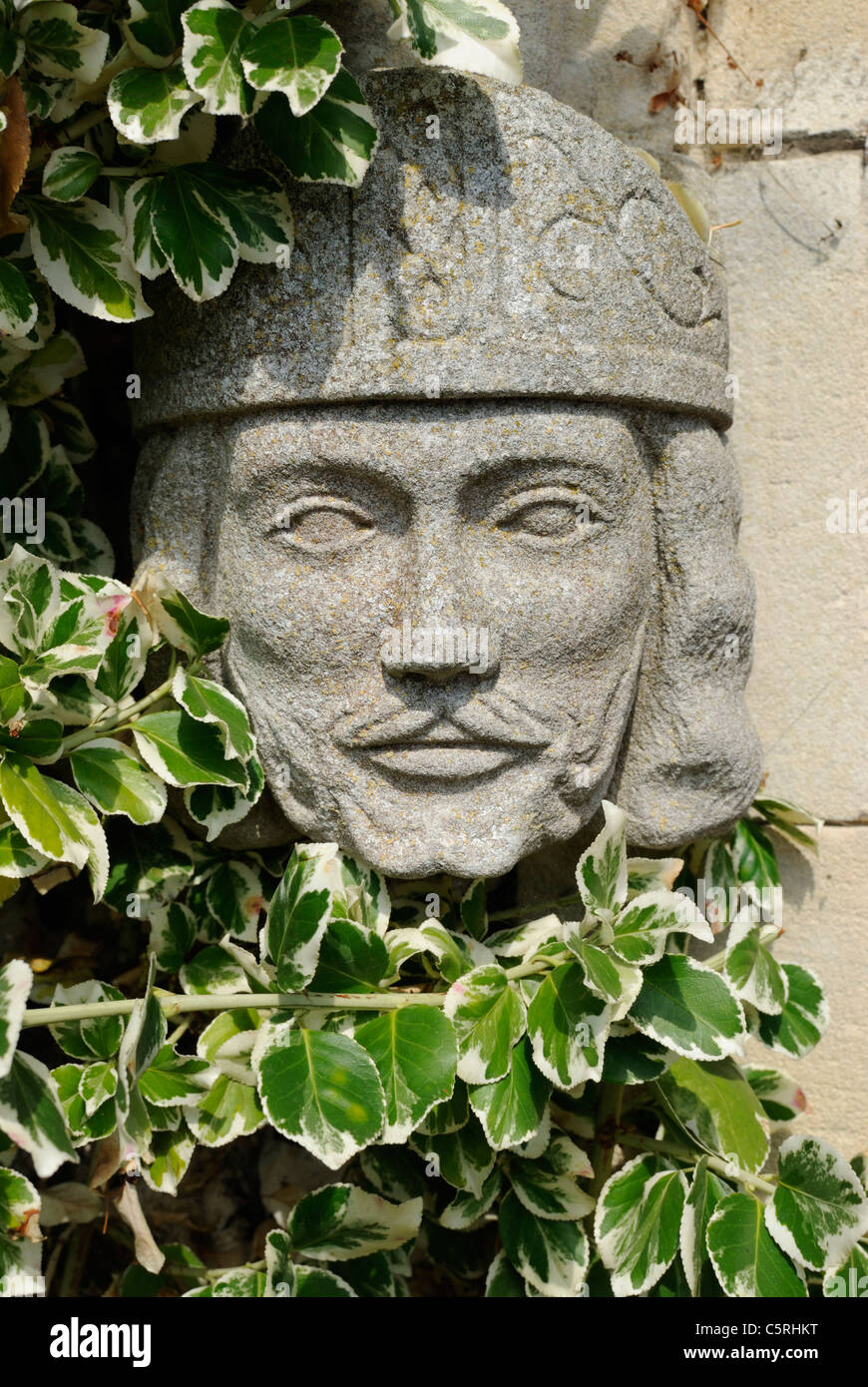 A carved stone face of a king or nobleman, on a wall in sunlight with ivy. Stock Photo
