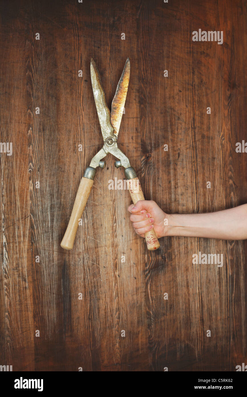 manual hedge cutters