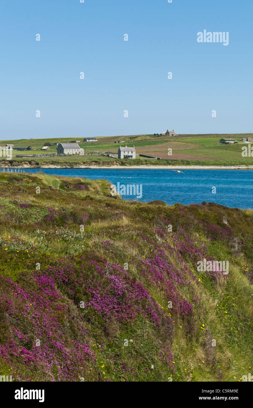 dh Kirk Bay FLOTTA ORKNEY Flotta south coast and village churchyard and houses uk Stock Photo