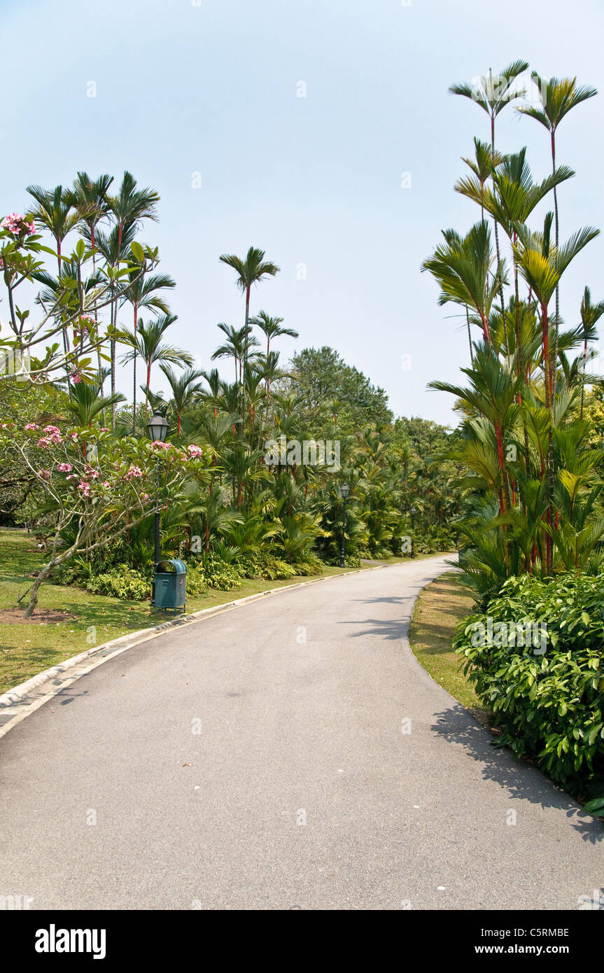 Singapore Botanic Gardens, Singapore, Southeast Asia, Asia Stock Photo