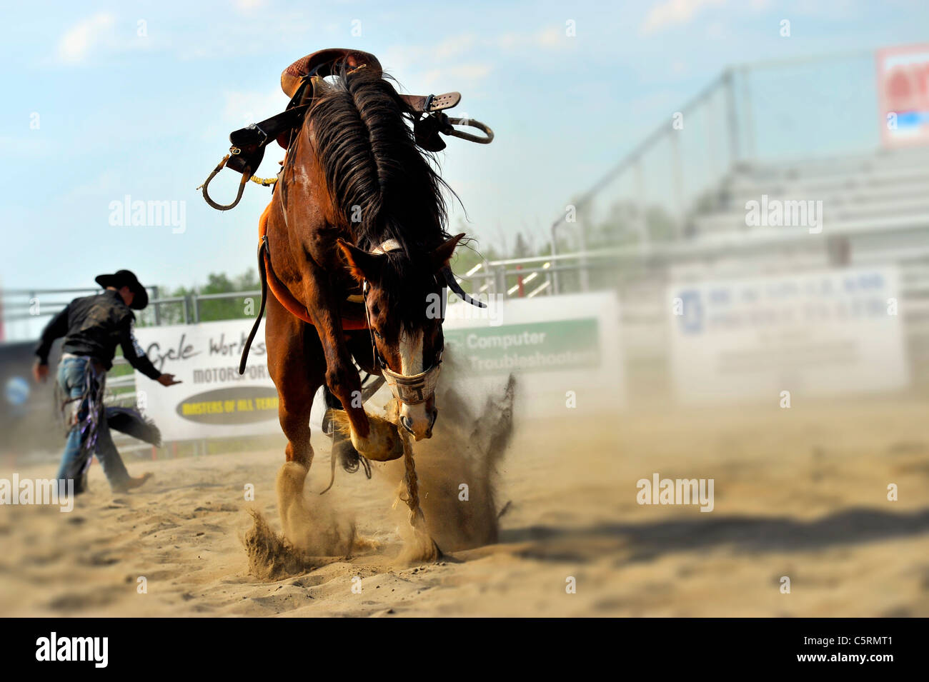 A horse still bucking after bucking off his rider at a rodeo event in