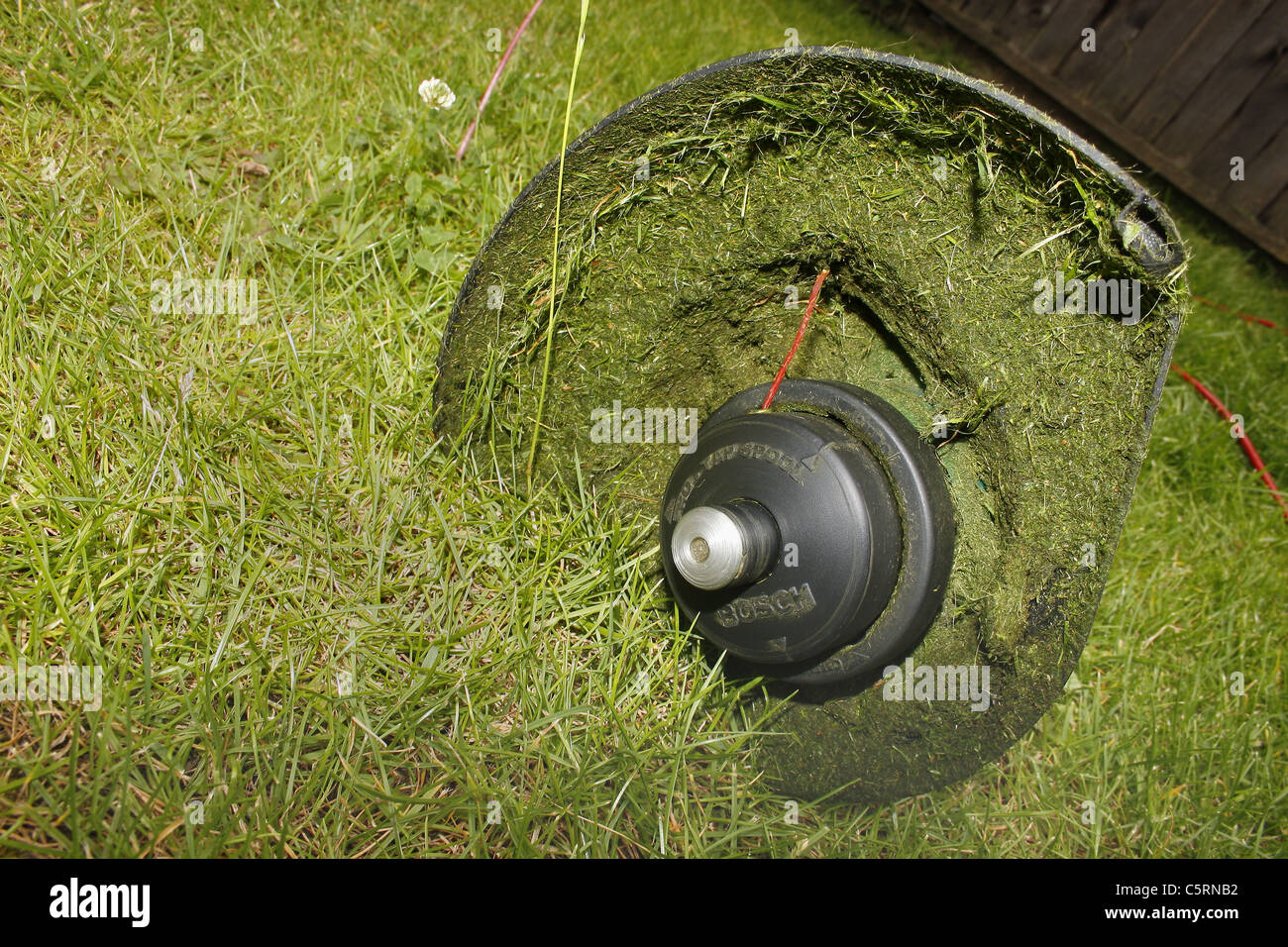 image of base of strimmer on lawn Stock Photo