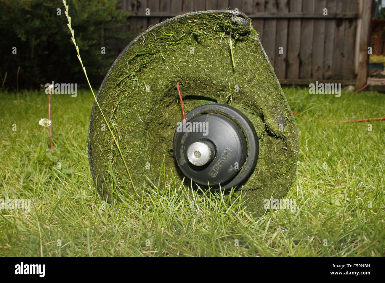 image of base of strimmer on lawn Stock Photo