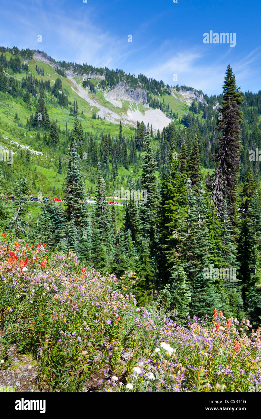 Mount rainier national park mt rainier hires stock photography and images Alamy
