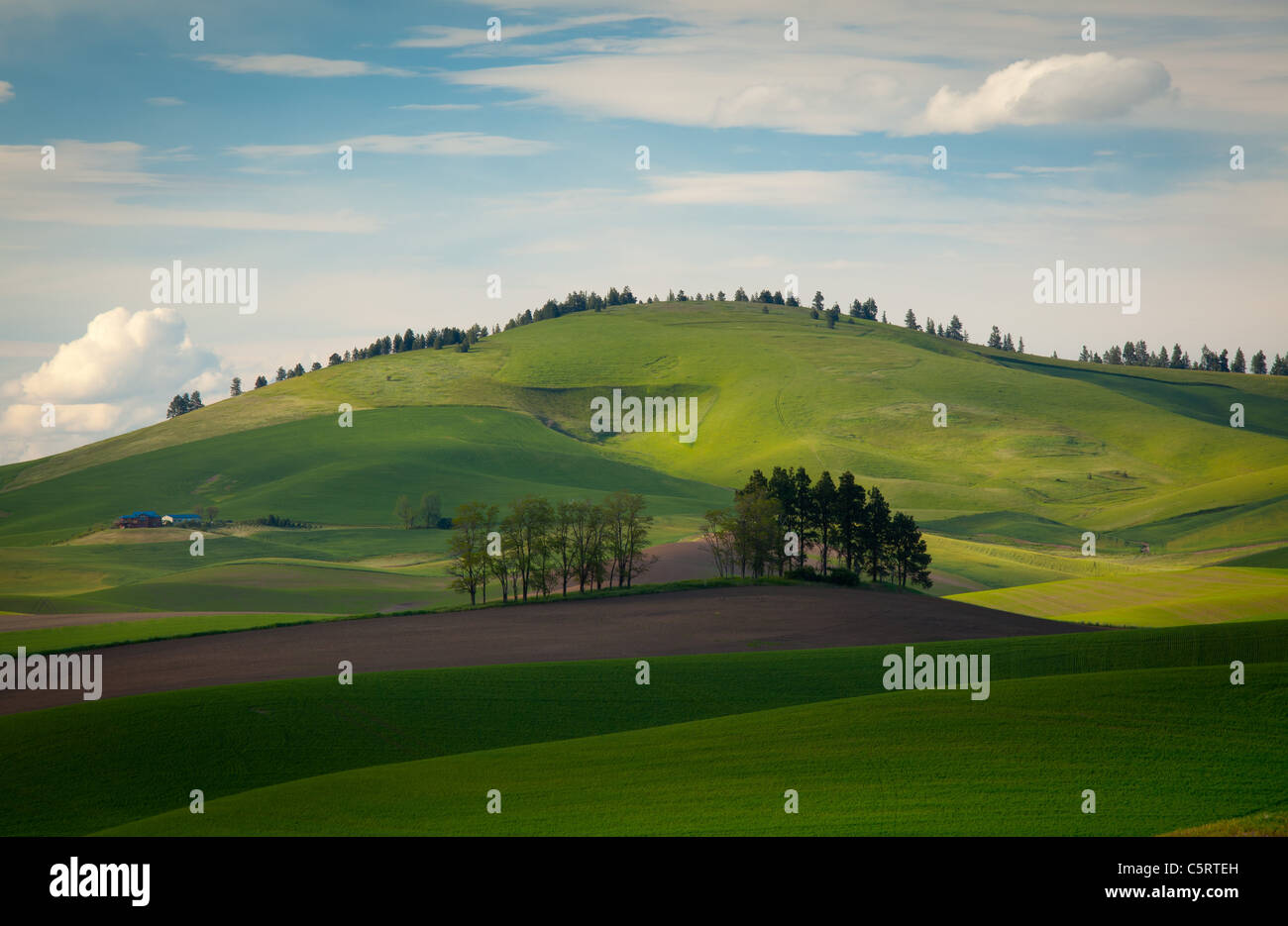 Palouse landscape Stock Photo