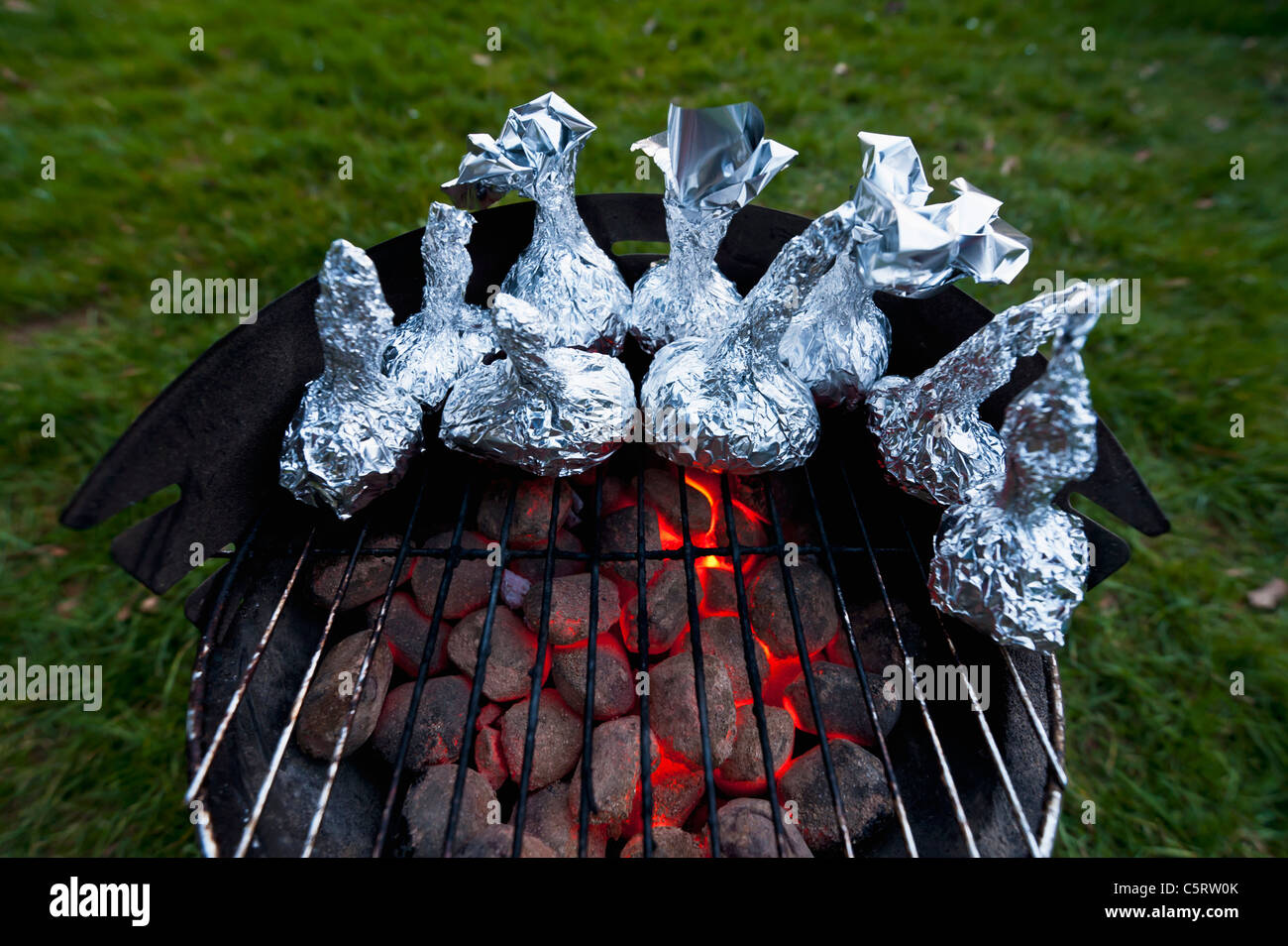 Germany, North RhineWestphalia, DÃ¼sseldorf, Close up of onions in